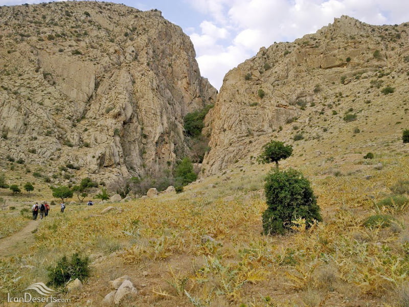 کوه بمو شیراز
